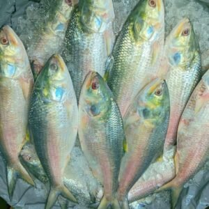 ১২ পিস মাছ ৬ কেজি