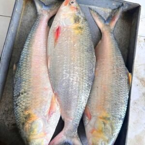 ৩ পিস মাছ ৬ কেজি